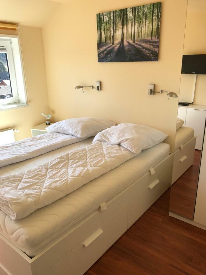Ferienwohnung Jule Braunlage Extérieur photo